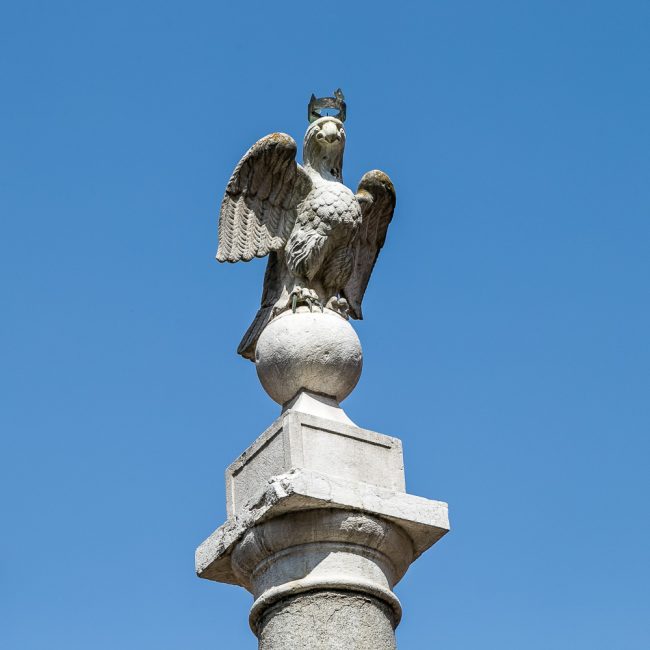 L’aquila posta in cima alla colonna situata al centro della piazza (detta anche Piazza dell’aquila) su cui si affaccia il palazzo